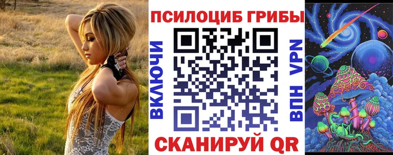 закладка  Очёр  mega сайт  Псилоцибиновые грибы мицелий 
